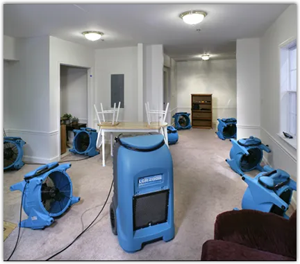 Water Mitigation Services in Beaver Falls, PA