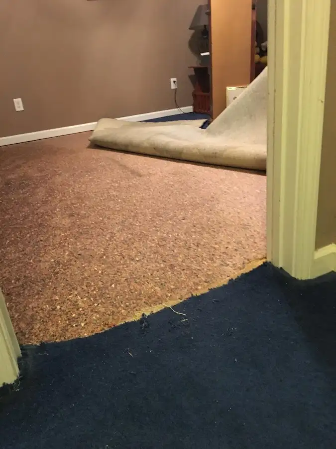 Carpet pad removal revealing water damage during Water Mitigation Services in Beaver Falls